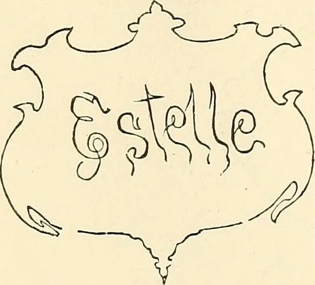 An illustration from The ladies' hand book of fancy and ornamental work .., 1860, leaf 177