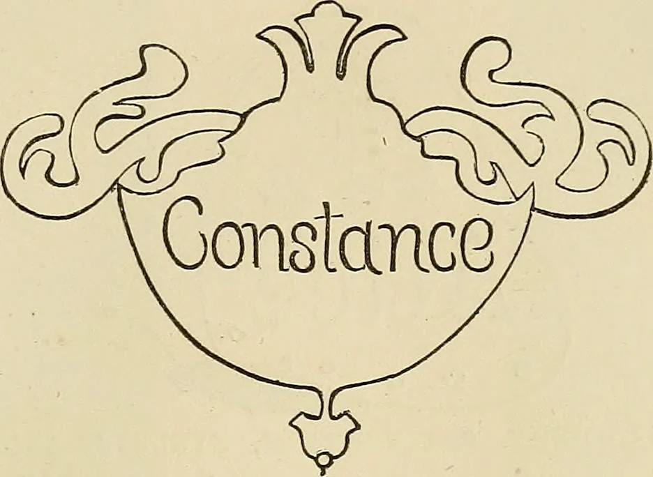 An illustration from The ladies' hand book of fancy and ornamental work .., 1860, leaf 178