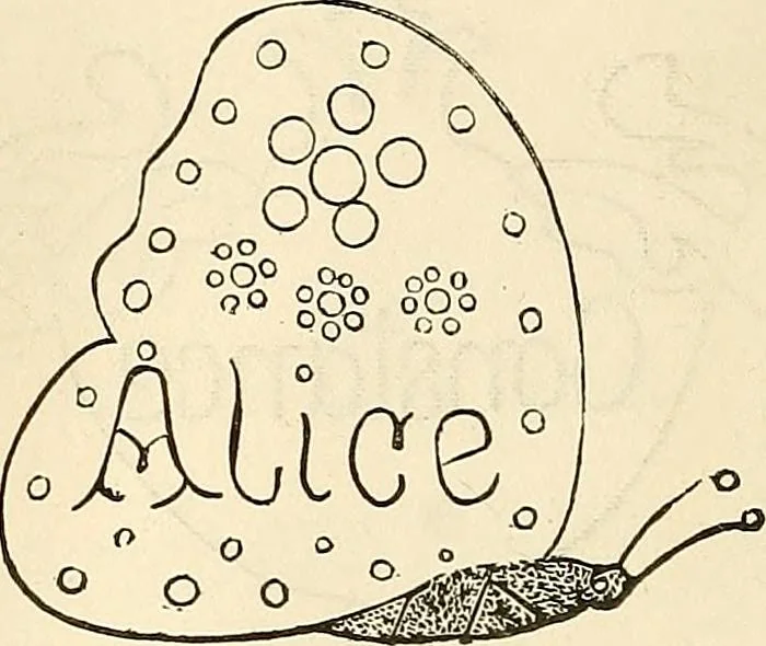 An illustration from The ladies' hand book of fancy and ornamental work .., 1860, leaf 179