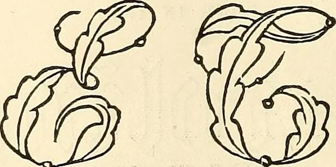 An illustration from The ladies' hand book of fancy and ornamental work .., 1860, leaf 179