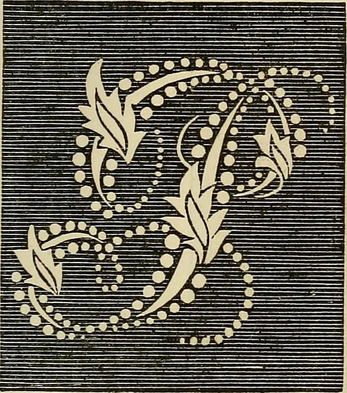 An illustration from The ladies' hand book of fancy and ornamental work .., 1860, leaf 180