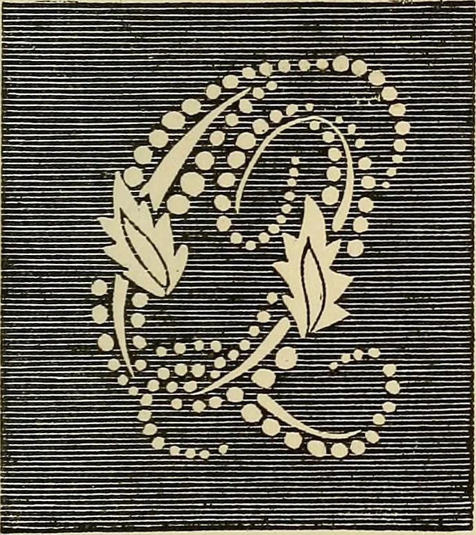 An illustration from The ladies' hand book of fancy and ornamental work .., 1860, leaf 180