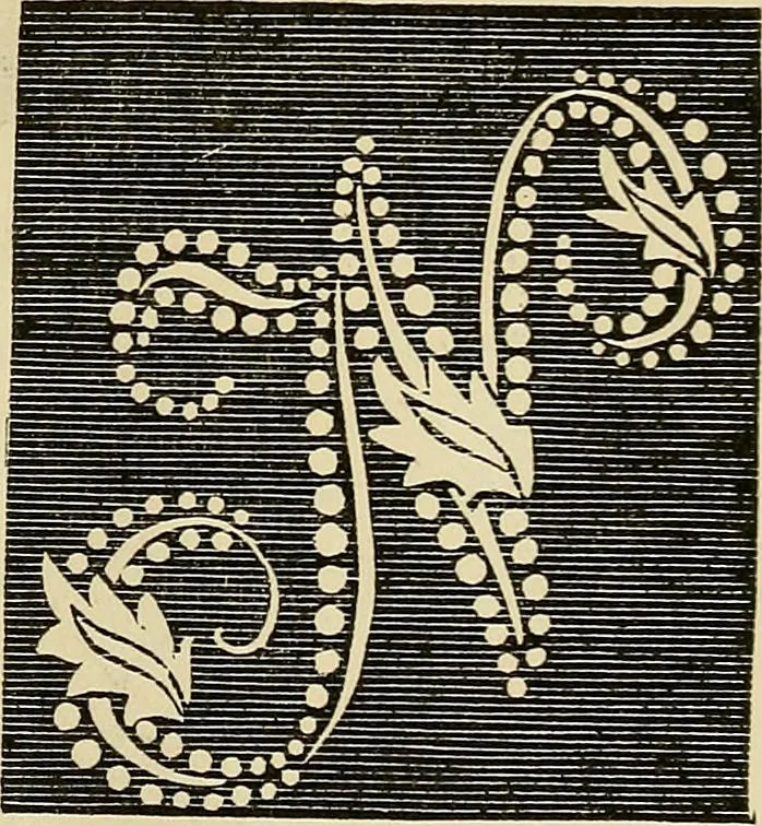 An illustration from The ladies' hand book of fancy and ornamental work .., 1860, leaf 180