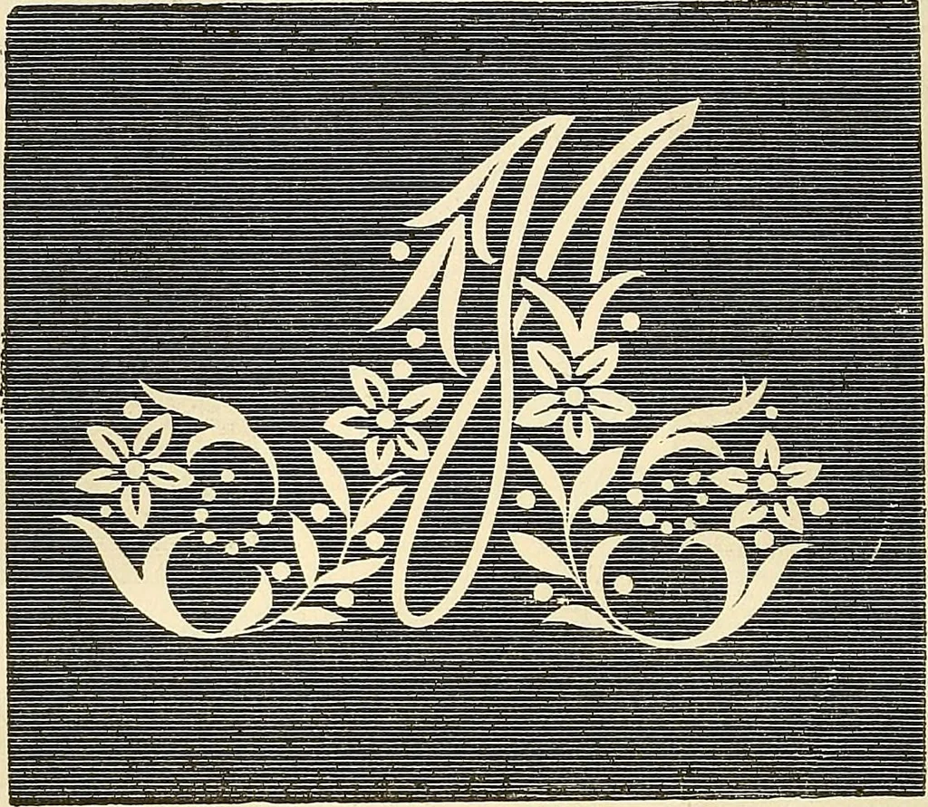 An illustration from The ladies' hand book of fancy and ornamental work .., 1860, leaf 181