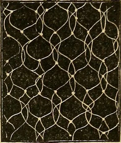 An illustration from The ladies' hand book of fancy and ornamental work .., 1860, leaf 184