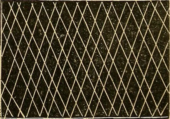 An illustration from The ladies' hand book of fancy and ornamental work .., 1860, leaf 184