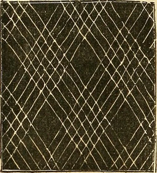 An illustration from The ladies' hand book of fancy and ornamental work .., 1860, leaf 185
