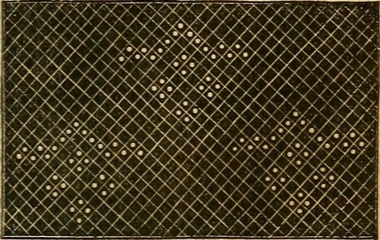 An illustration from The ladies' hand book of fancy and ornamental work .., 1860, leaf 186
