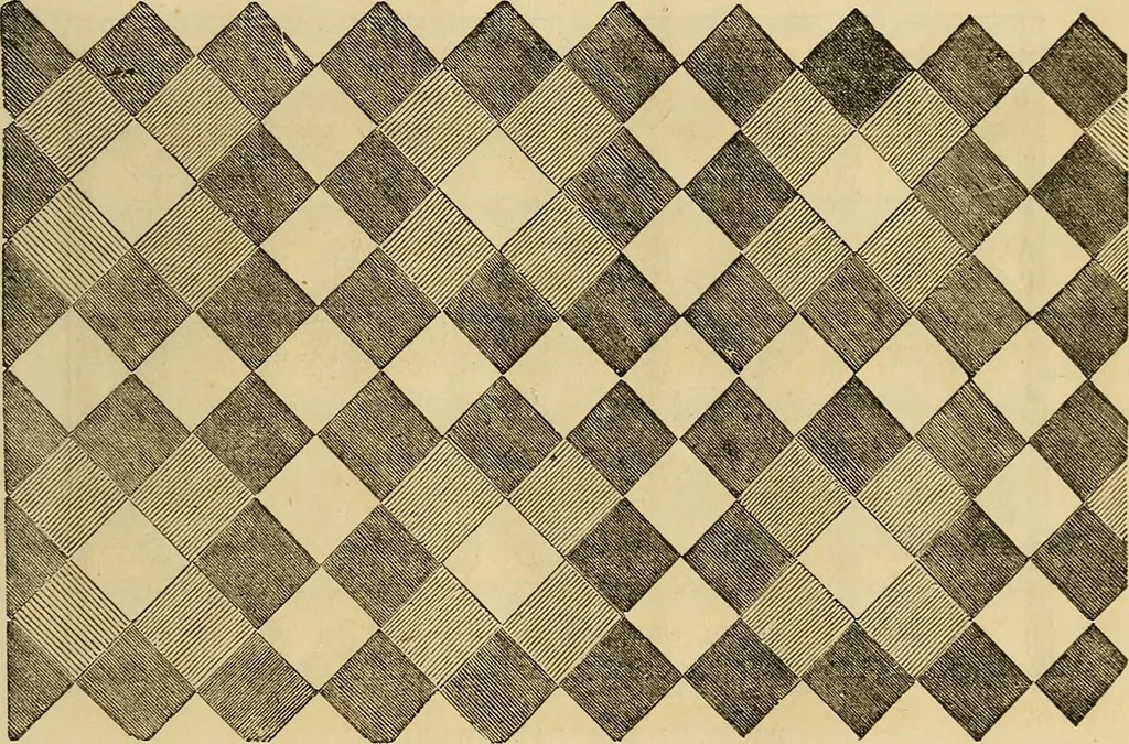 An illustration from The ladies' hand book of fancy and ornamental work .., 1860, leaf 196