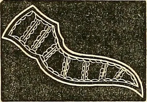 An illustration from The ladies' hand book of fancy and ornamental work .., 1860, leaf 201