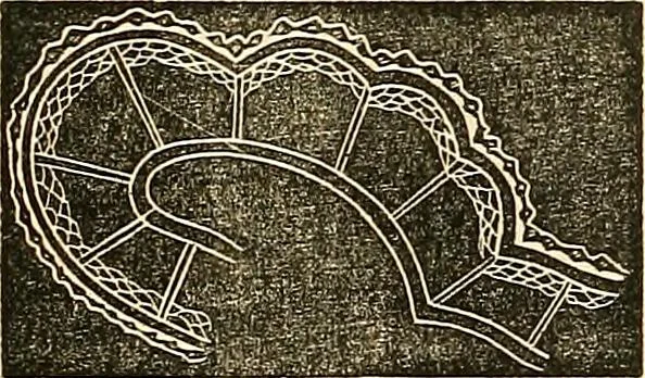 An illustration from The ladies' hand book of fancy and ornamental work .., 1860, leaf 205