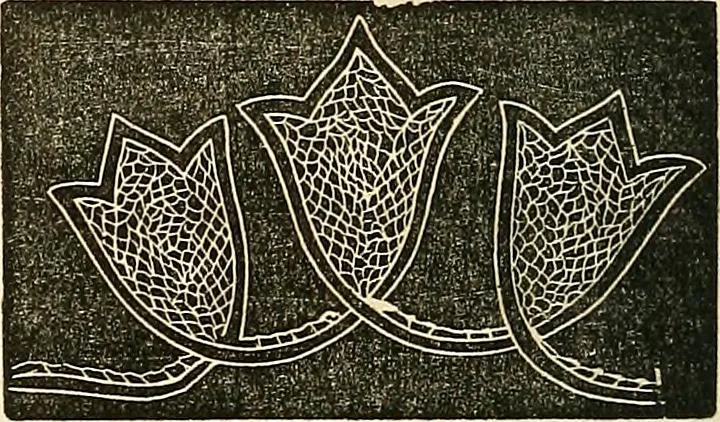 An illustration from The ladies' hand book of fancy and ornamental work .., 1860, leaf 205