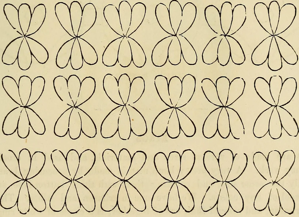An illustration from The ladies' hand book of fancy and ornamental work .., 1860, leaf 222
