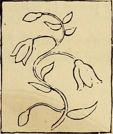 An illustration from The ladies' hand book of fancy and ornamental work .., 1860, leaf 42