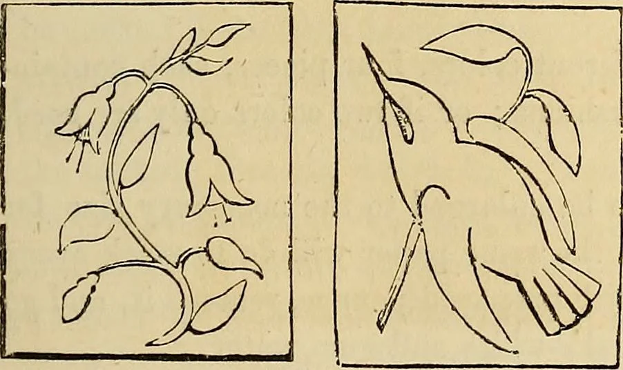 An illustration from The ladies' hand book of fancy and ornamental work .., 1860, leaf 42