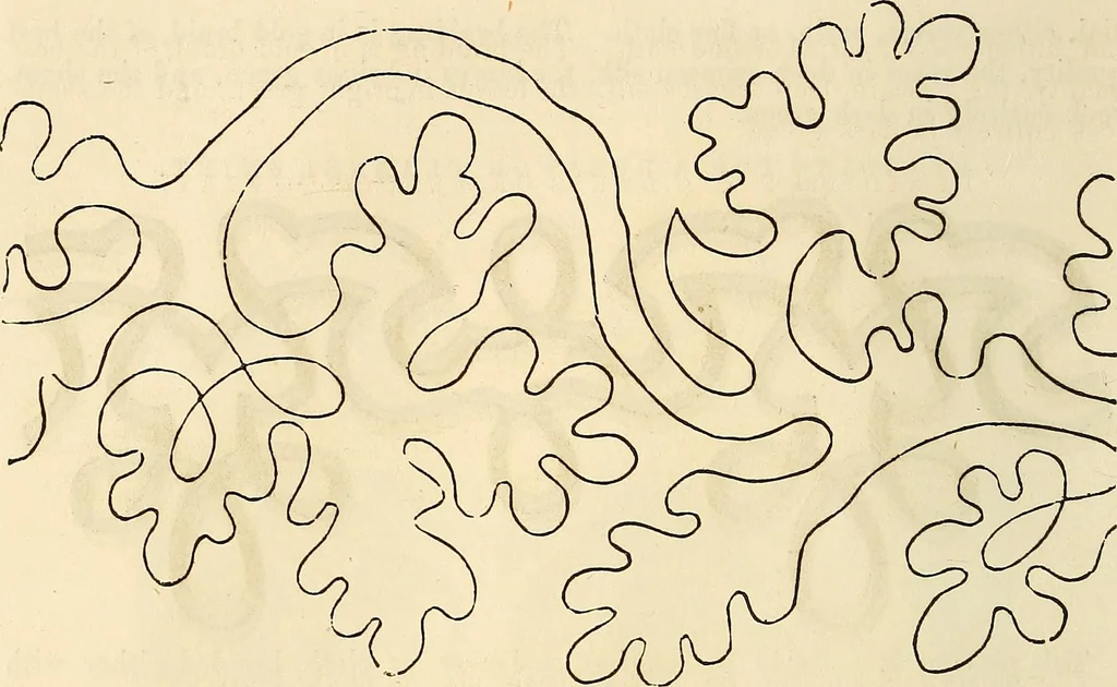 An illustration from The ladies' hand book of fancy and ornamental work .., 1860, leaf 49