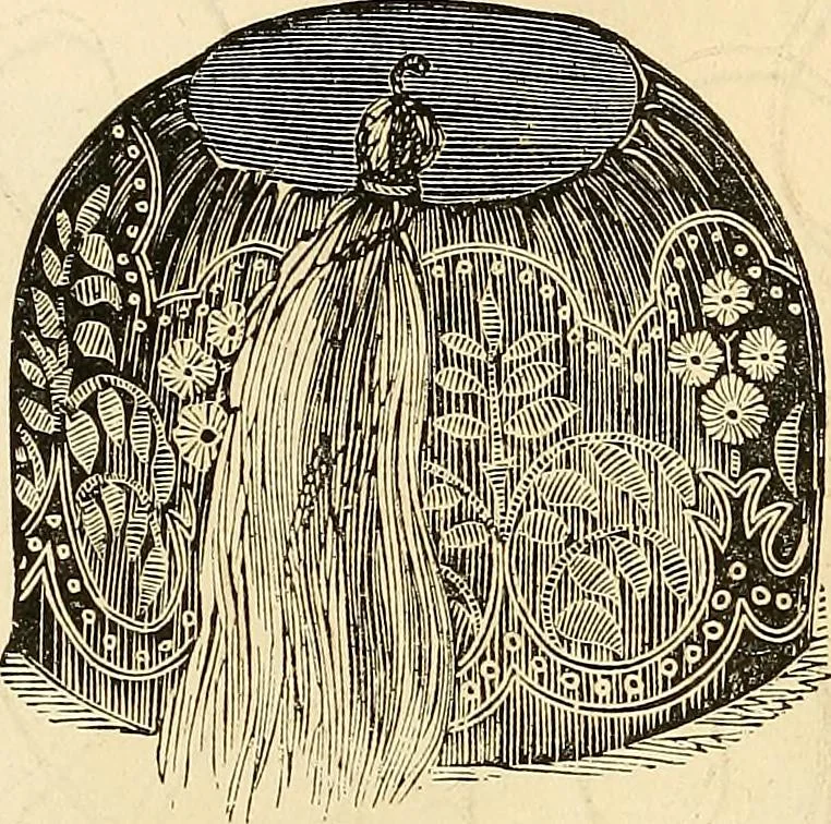 An illustration from The ladies' hand book of fancy and ornamental work .., 1860, leaf 53