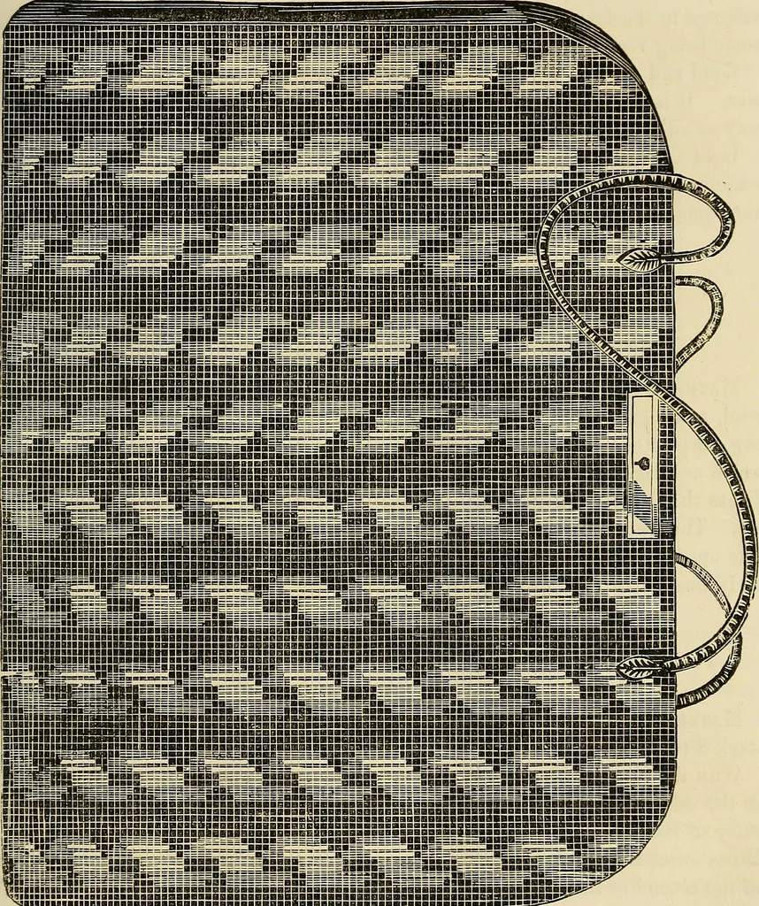 An illustration from The ladies' hand book of fancy and ornamental work .., 1860, leaf 78