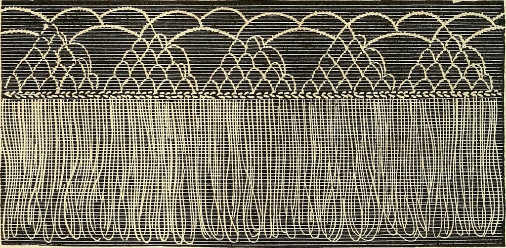 An illustration from The ladies' hand book of fancy and ornamental work .., 1860, leaf 83