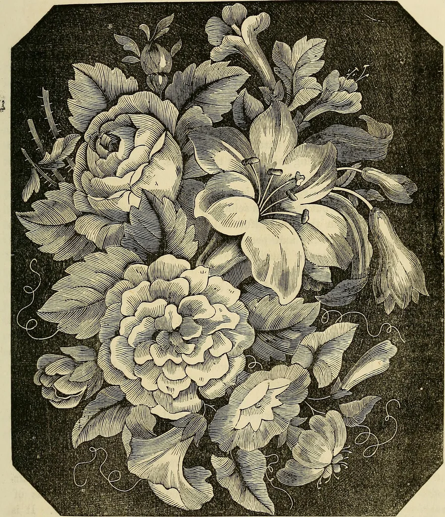 An illustration from The ladies' hand book of fancy and ornamental work .., 1860, leaf 90