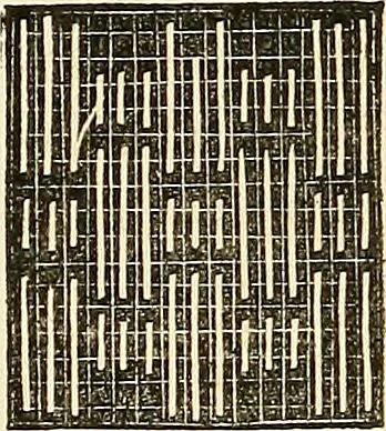 An illustration from The ladies' hand book of fancy and ornamental work .., 1860, leaf 93