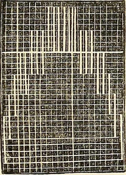 An illustration from The ladies' hand book of fancy and ornamental work .., 1860, leaf 93