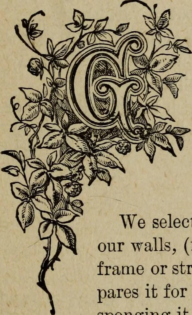 An illustration from Ladies' manual of art : or, Profit and pastime : a self teacher in all branches of decorative art, embracing every variety of painting and drawing on china, glass, velvet, canvas, paper and wood : the secret of all glass transparencies, sketching from nature, pastel and crayon drawing, taxidermy, etc, 1887, leaf 104