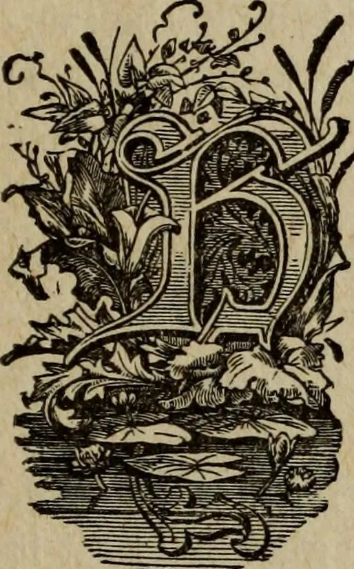 An illustration from Ladies' manual of art : or, Profit and pastime : a self teacher in all branches of decorative art, embracing every variety of painting and drawing on china, glass, velvet, canvas, paper and wood : the secret of all glass transparencies, sketching from nature, pastel and crayon drawing, taxidermy, etc, 1887, leaf 106