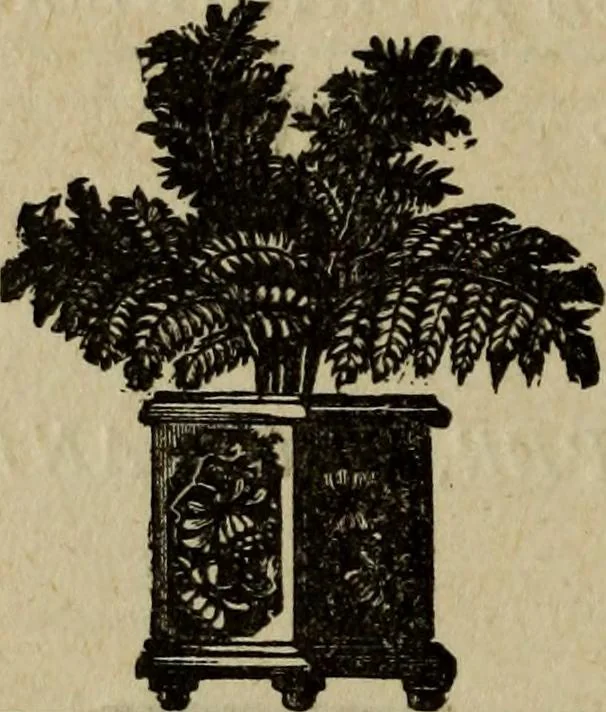 An illustration from Ladies' manual of art : or, Profit and pastime : a self teacher in all branches of decorative art, embracing every variety of painting and drawing on china, glass, velvet, canvas, paper and wood : the secret of all glass transparencies, sketching from nature, pastel and crayon drawing, taxidermy, etc, 1887, leaf 115