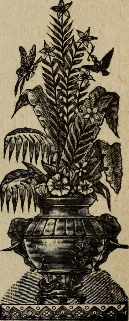 An illustration from Ladies' manual of art : or, Profit and pastime : a self teacher in all branches of decorative art, embracing every variety of painting and drawing on china, glass, velvet, canvas, paper and wood : the secret of all glass transparencies, sketching from nature, pastel and crayon drawing, taxidermy, etc, 1887, leaf 116