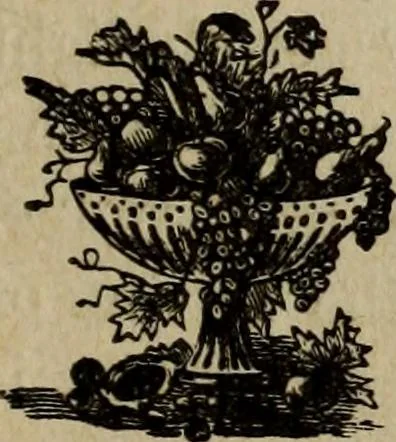 An illustration from Ladies' manual of art : or, Profit and pastime : a self teacher in all branches of decorative art, embracing every variety of painting and drawing on china, glass, velvet, canvas, paper and wood : the secret of all glass transparencies, sketching from nature, pastel and crayon drawing, taxidermy, etc, 1887, leaf 136