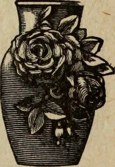 An illustration from Ladies' manual of art : or, Profit and pastime : a self teacher in all branches of decorative art, embracing every variety of painting and drawing on china, glass, velvet, canvas, paper and wood : the secret of all glass transparencies, sketching from nature, pastel and crayon drawing, taxidermy, etc, 1887, leaf 140