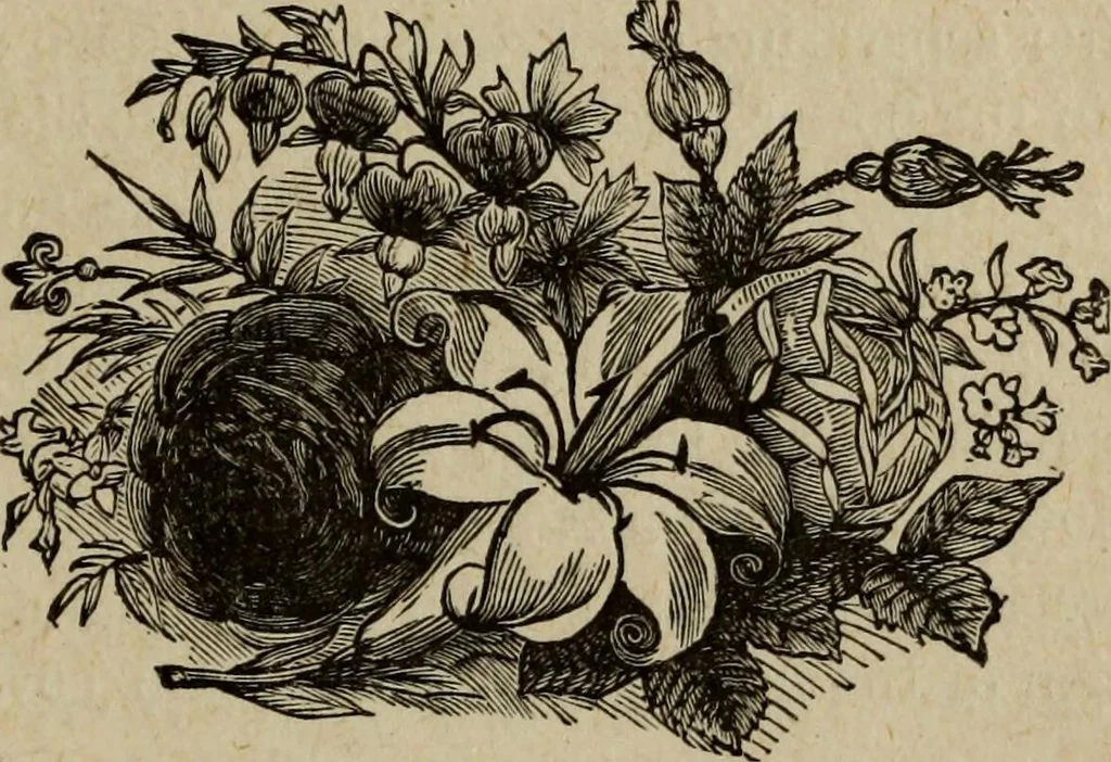 An illustration from Ladies' manual of art : or, Profit and pastime : a self teacher in all branches of decorative art, embracing every variety of painting and drawing on china, glass, velvet, canvas, paper and wood : the secret of all glass transparencies, sketching from nature, pastel and crayon drawing, taxidermy, etc, 1887, leaf 146