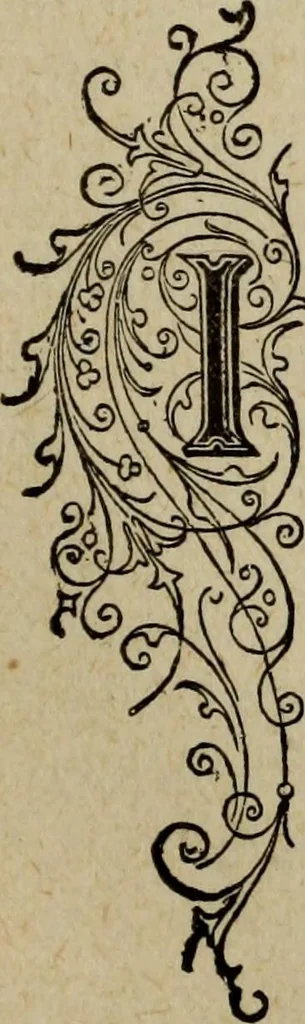 An illustration from Ladies' manual of art : or, Profit and pastime : a self teacher in all branches of decorative art, embracing every variety of painting and drawing on china, glass, velvet, canvas, paper and wood : the secret of all glass transparencies, sketching from nature, pastel and crayon drawing, taxidermy, etc, 1887, leaf 160