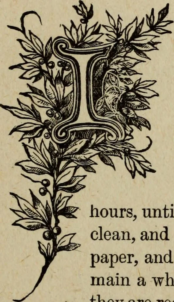 An illustration from Ladies' manual of art : or, Profit and pastime : a self teacher in all branches of decorative art, embracing every variety of painting and drawing on china, glass, velvet, canvas, paper and wood : the secret of all glass transparencies, sketching from nature, pastel and crayon drawing, taxidermy, etc, 1887, leaf 178