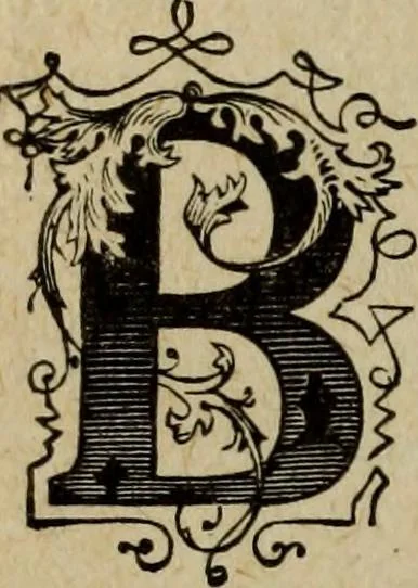 An illustration from Ladies' manual of art : or, Profit and pastime : a self teacher in all branches of decorative art, embracing every variety of painting and drawing on china, glass, velvet, canvas, paper and wood : the secret of all glass transparencies, sketching from nature, pastel and crayon drawing, taxidermy, etc, 1887, leaf 181