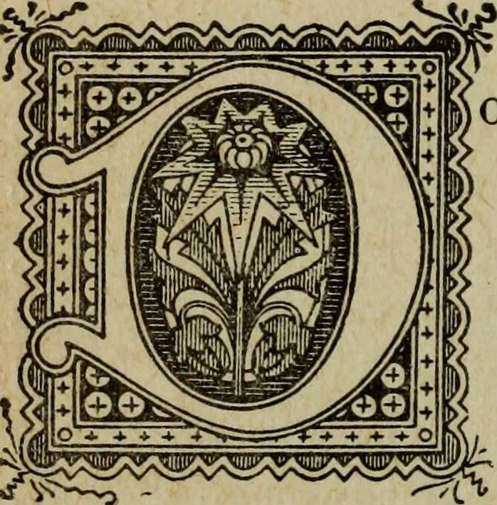 An illustration from Ladies' manual of art : or, Profit and pastime : a self teacher in all branches of decorative art, embracing every variety of painting and drawing on china, glass, velvet, canvas, paper and wood : the secret of all glass transparencies, sketching from nature, pastel and crayon drawing, taxidermy, etc, 1887, leaf 201