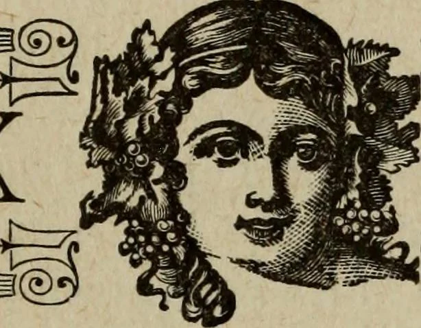 An illustration from Ladies' manual of art : or, Profit and pastime : a self teacher in all branches of decorative art, embracing every variety of painting and drawing on china, glass, velvet, canvas, paper and wood : the secret of all glass transparencies, sketching from nature, pastel and crayon drawing, taxidermy, etc, 1887, leaf 210