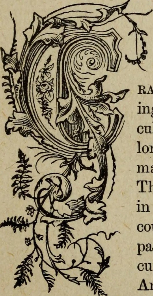 An illustration from Ladies' manual of art : or, Profit and pastime : a self teacher in all branches of decorative art, embracing every variety of painting and drawing on china, glass, velvet, canvas, paper and wood : the secret of all glass transparencies, sketching from nature, pastel and crayon drawing, taxidermy, etc, 1887, leaf 210