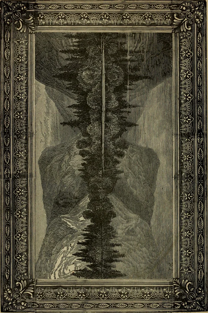 An illustration from Ladies' manual of art : or, Profit and pastime : a self teacher in all branches of decorative art, embracing every variety of painting and drawing on china, glass, velvet, canvas, paper and wood : the secret of all glass transparencies, sketching from nature, pastel and crayon drawing, taxidermy, etc, 1887, leaf 217