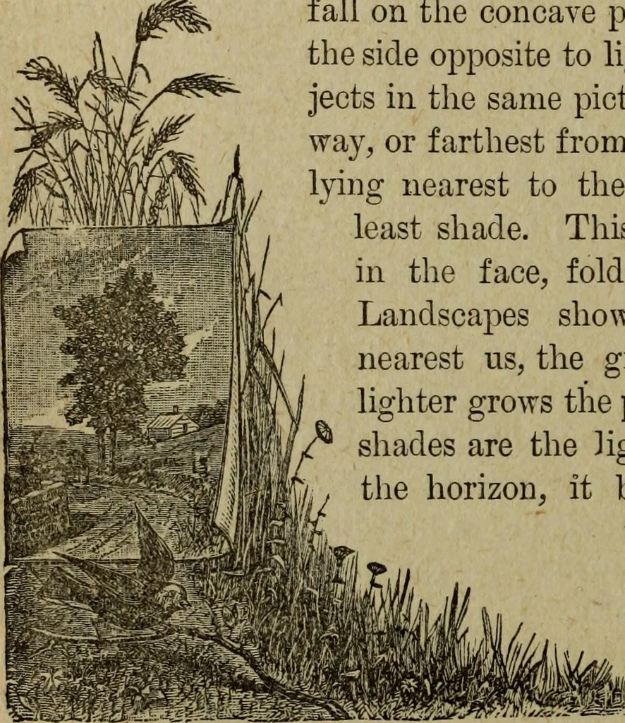 An illustration from Ladies' manual of art : or, Profit and pastime : a self teacher in all branches of decorative art, embracing every variety of painting and drawing on china, glass, velvet, canvas, paper and wood : the secret of all glass transparencies, sketching from nature, pastel and crayon drawing, taxidermy, etc, 1887, leaf 31