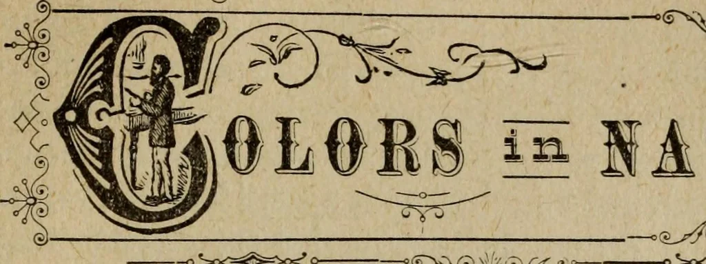 An illustration from Ladies' manual of art : or, Profit and pastime : a self teacher in all branches of decorative art, embracing every variety of painting and drawing on china, glass, velvet, canvas, paper and wood : the secret of all glass transparencies, sketching from nature, pastel and crayon drawing, taxidermy, etc, 1887, leaf 32