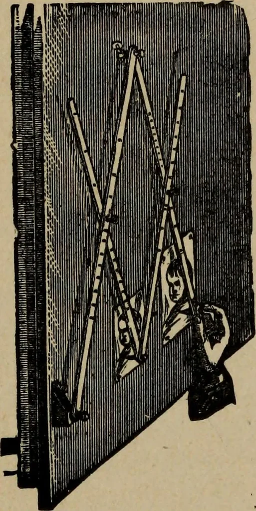 An illustration from Ladies' manual of art : or, Profit and pastime : a self teacher in all branches of decorative art, embracing every variety of painting and drawing on china, glass, velvet, canvas, paper and wood : the secret of all glass transparencies, sketching from nature, pastel and crayon drawing, taxidermy, etc, 1887, leaf 38