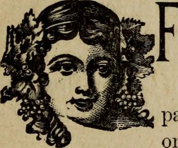 An illustration from Ladies' manual of art : or, Profit and pastime : a self teacher in all branches of decorative art, embracing every variety of painting and drawing on china, glass, velvet, canvas, paper and wood : the secret of all glass transparencies, sketching from nature, pastel and crayon drawing, taxidermy, etc, 1887, leaf 40