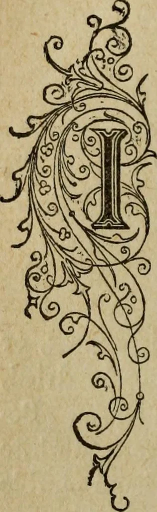 An illustration from Ladies' manual of art : or, Profit and pastime : a self teacher in all branches of decorative art, embracing every variety of painting and drawing on china, glass, velvet, canvas, paper and wood : the secret of all glass transparencies, sketching from nature, pastel and crayon drawing, taxidermy, etc, 1887, leaf 51