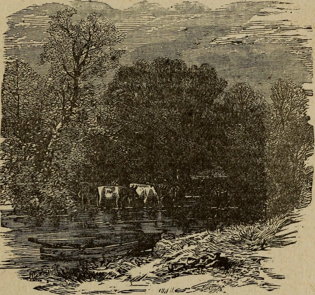 An illustration from Ladies' manual of art : or, Profit and pastime : a self teacher in all branches of decorative art, embracing every variety of painting and drawing on china, glass, velvet, canvas, paper and wood : the secret of all glass transparencies, sketching from nature, pastel and crayon drawing, taxidermy, etc, 1887, leaf 60