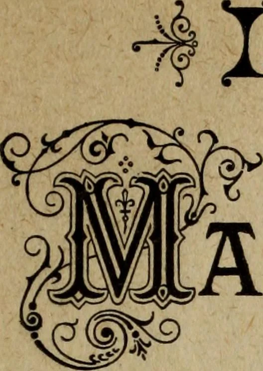 An illustration from Ladies' manual of art : or, Profit and pastime : a self teacher in all branches of decorative art, embracing every variety of painting and drawing on china, glass, velvet, canvas, paper and wood : the secret of all glass transparencies, sketching from nature, pastel and crayon drawing, taxidermy, etc, 1887, leaf 8