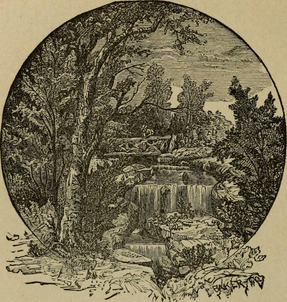An illustration from Ladies' manual of art : or, Profit and pastime : a self teacher in all branches of decorative art, embracing every variety of painting and drawing on china, glass, velvet, canvas, paper and wood : the secret of all glass transparencies, sketching from nature, pastel and crayon drawing, taxidermy, etc, 1887, leaf 85