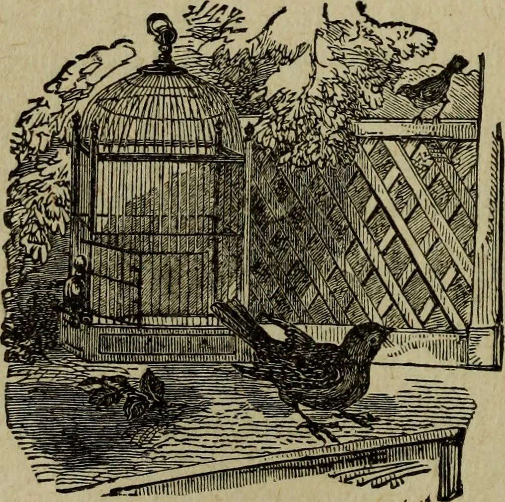 An illustration from Ladies' manual of art : or, Profit and pastime : a self teacher in all branches of decorative art, embracing every variety of painting and drawing on china, glass, velvet, canvas, paper and wood : the secret of all glass transparencies, sketching from nature, pastel and crayon drawing, taxidermy, etc, 1887, leaf 97