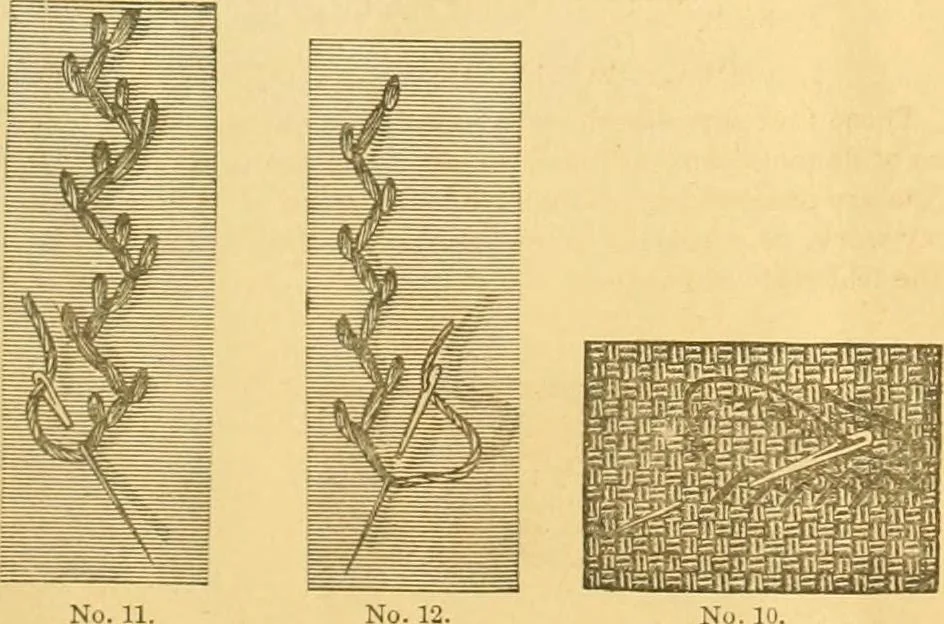 An illustration from Ladies' manual of embroidery and stamping. Giving full instructions in making the stitches .., 1884, leaf 4